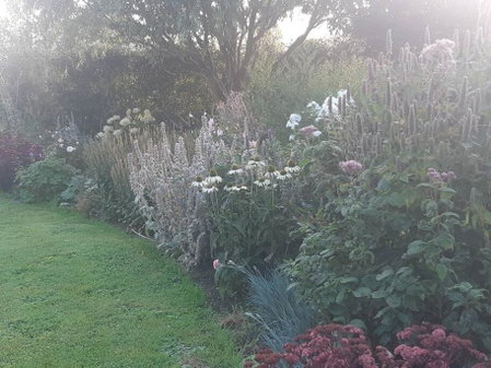 Doris, Wedmore, United Kingdom