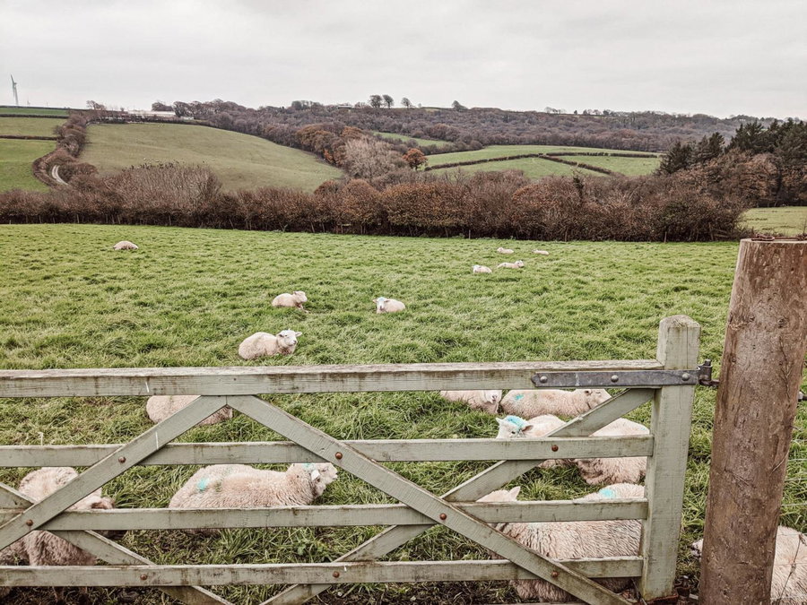 Stunning Shepherd's Hut Retreat North Devon, Bideford, United Kingdom