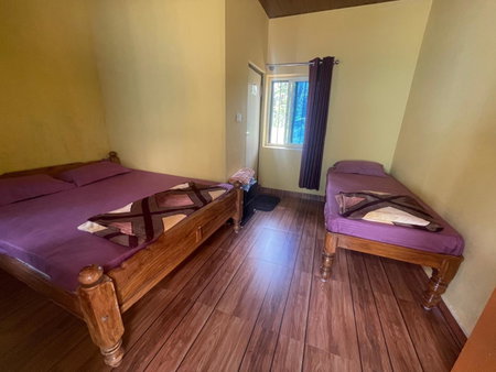 New Organic Home Stay, Mudigere, India