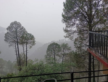 Bhandari Cottages, Dhanaulti, India