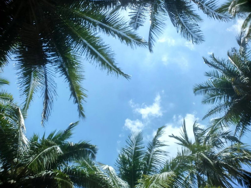 Crossbill Beach Resort, Havelock Island, India