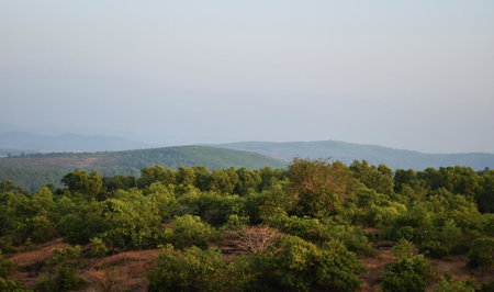Viraz Valley, Gokarna, India