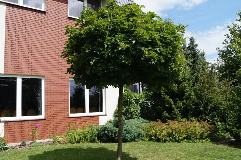 Hotel Podróżnik, Koszuty, Poland