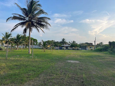 Kiboo Ire Hotel Tecolutla, Tecolutla, Mexico