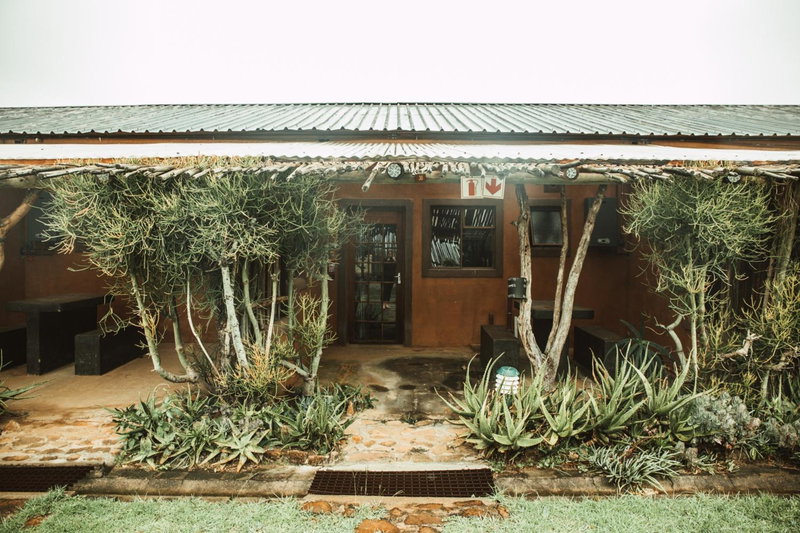 Amphitheatre Backpackers Lodge, Ethels Drive, South Africa