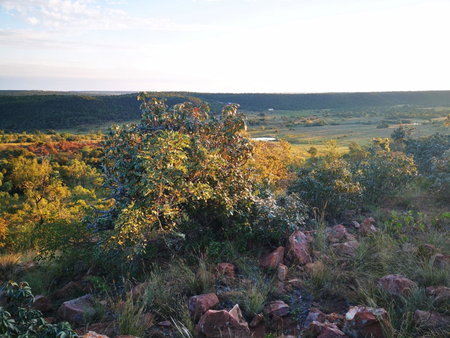 Moletani Game Ranch, Atoom, South Africa