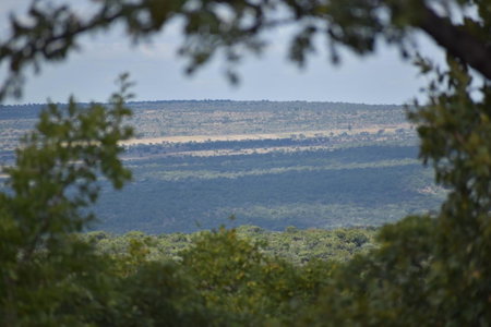 Moletani Game Ranch, Atoom, South Africa