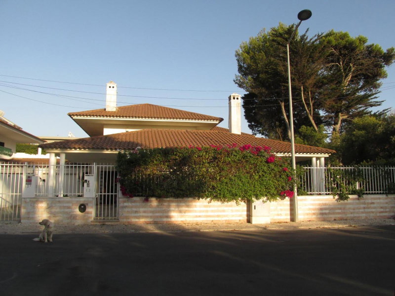 Go PT - Private challet with swimming pool and garden, Parede, Portugal