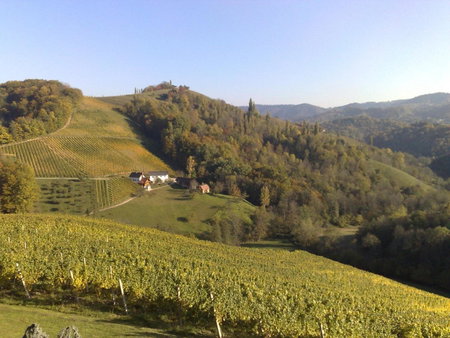 Weingut Essgut Schlafgut Sabathihof-Dillinger, Glanz an der Weinstraße, Austria