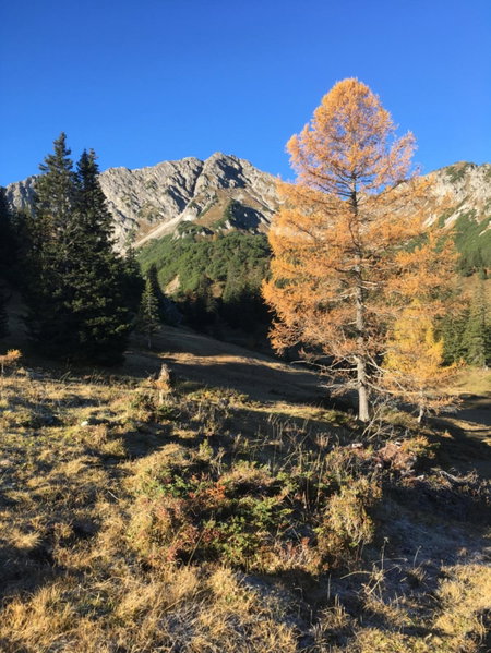 Appart Tramontana, Bürserberg, Austria
