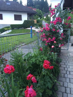Villa Nusswald, Krumpendorf am Wörthersee, Austria