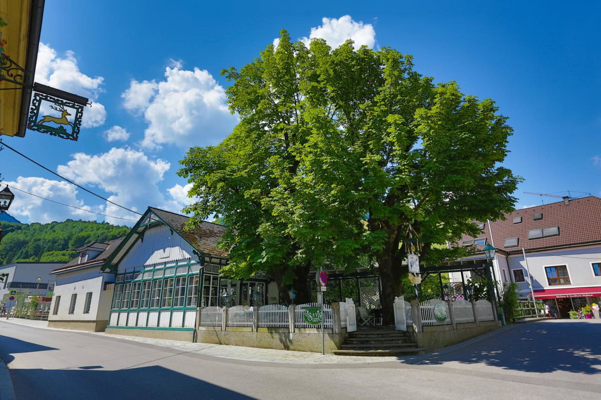 Apartment Welser, Austria