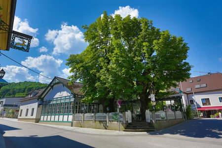 Apartment Welser, Ybbsitz, Austria