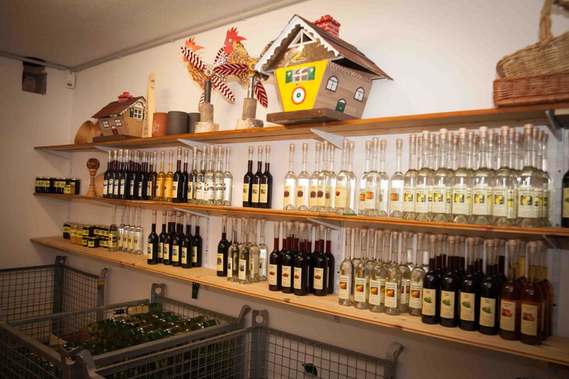 Weinbau Pronegg vlg. Krainz, Leutschach, Austria