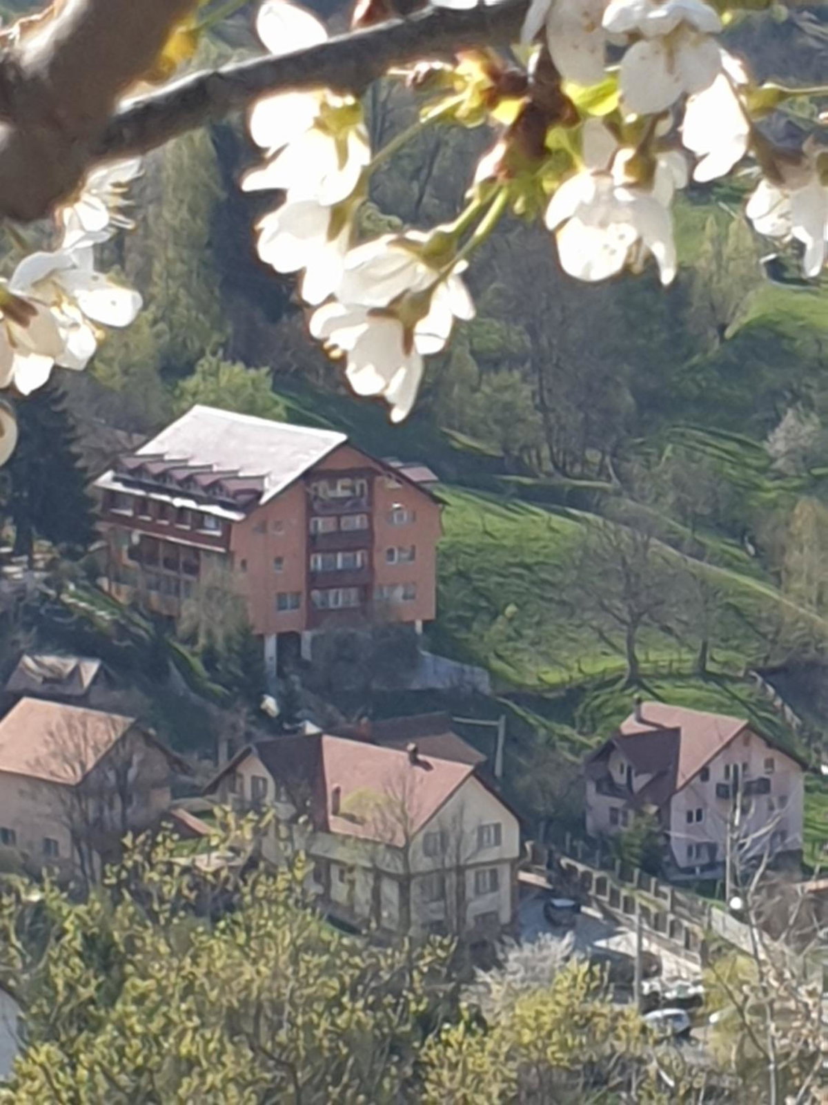 Vila Muntii Bucegi & SPA, Romania