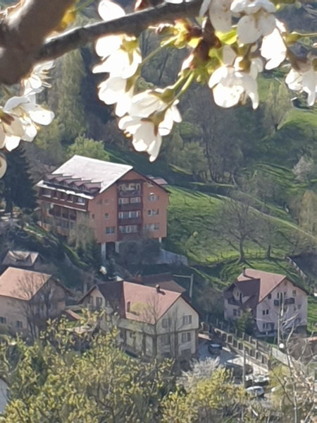 Vila Muntii Bucegi & SPA, Bran, Romania