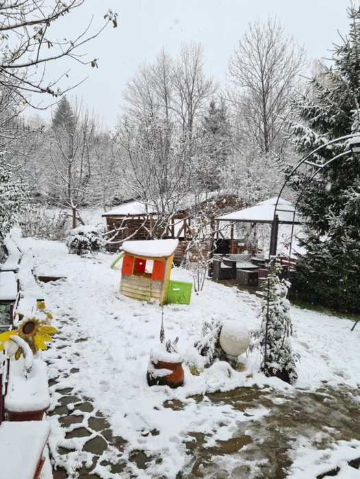 Vila Muntii Bucegi & SPA, Bran, Romania