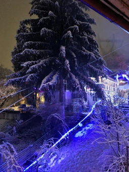 Vila Muntii Bucegi & SPA, Bran, Romania