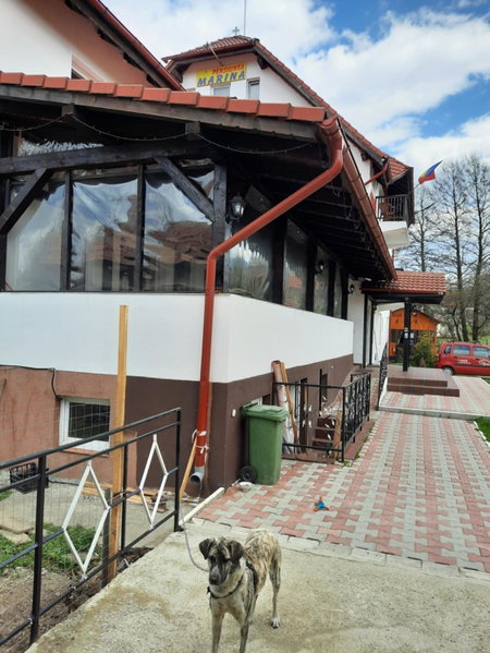 Pensiunea Marina, Bran, Romania