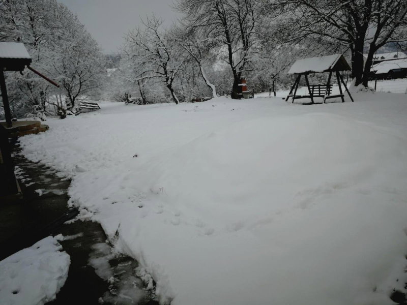 Pensiunea Marina, Bran, Romania