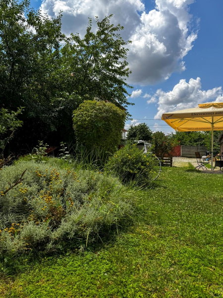 Pensiunea Vila Silva II, Haţeg, Romania