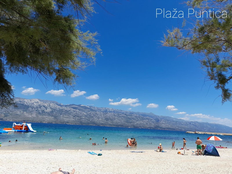 Yellow dream, Murvica, Croatia