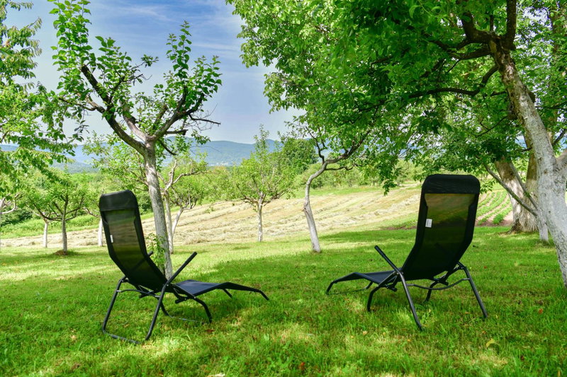 Apartman PLUM PLITVICE, Drežnik Grad, Croatia