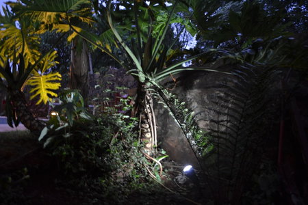 Passaros Suite Hotel, Puerto Iguazú, Argentina