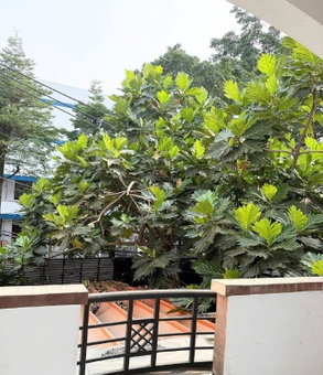 Apartment for rent in Ho Chi Minh City, Vietnam · District 2 - Thao Dien / An Phu · 1 room, 1 bath