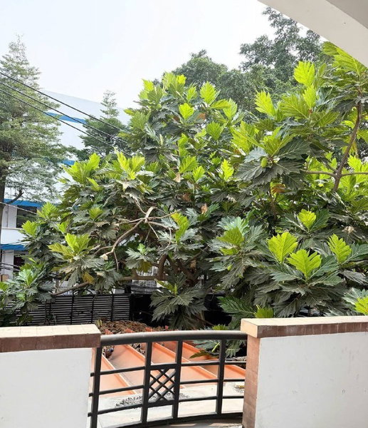 Apartment for rent in Ho Chi Minh City, Vietnam · District 2 - Thao Dien / An Phu · 1 room, 1 bath