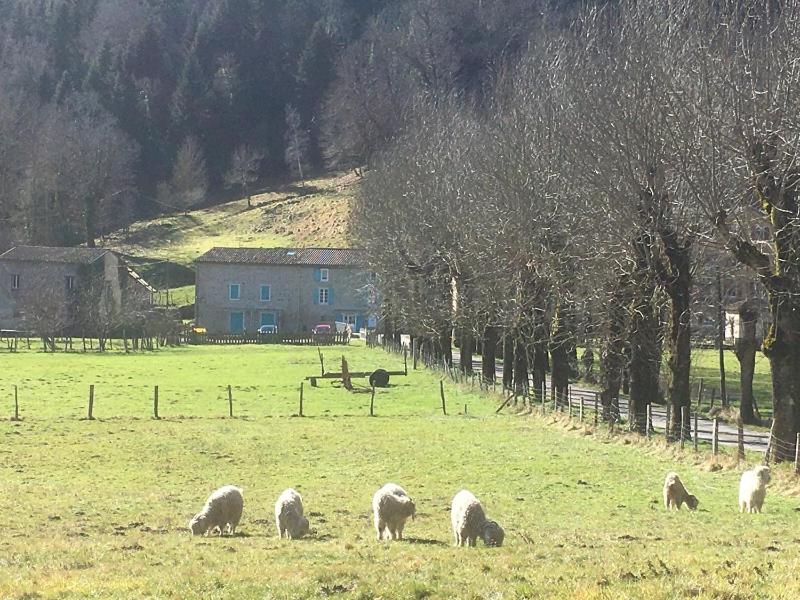 Au mohair des Alpy, Fougax-et-Barrineuf, France