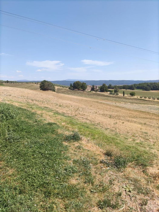 La petite grande, Lurs, France