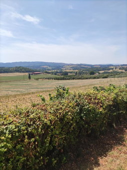 La petite grande, Lurs, France