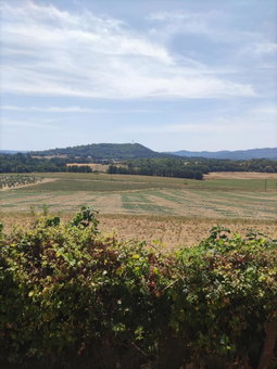 La petite grande, Lurs, France
