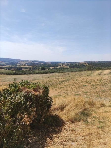 La petite grande, Lurs, France