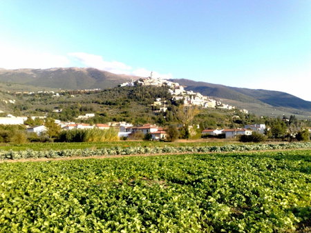 Il Borgo Dell'Ulivo, Trevi, Italy