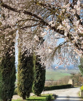 Relais CastelBigozzi, Monteriggioni, Italy