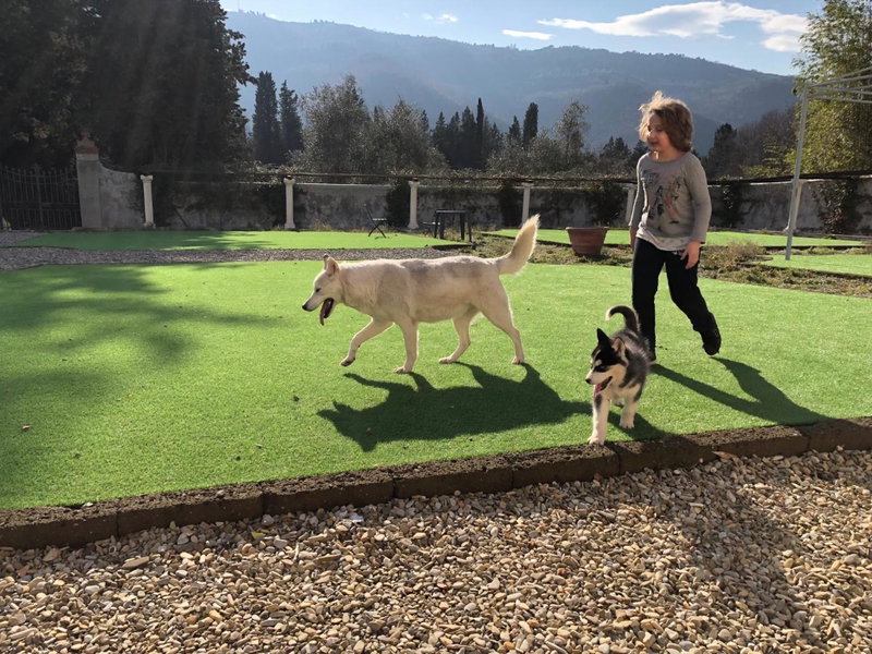 Villa D'Arte Agri Resort, Pontassieve, Italy