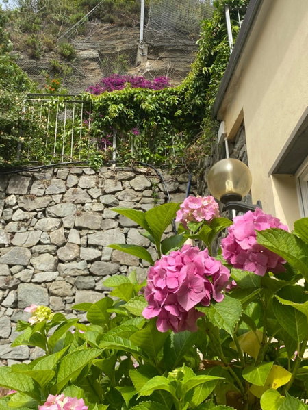 Pensione Sorriso, Vernazza, Italy