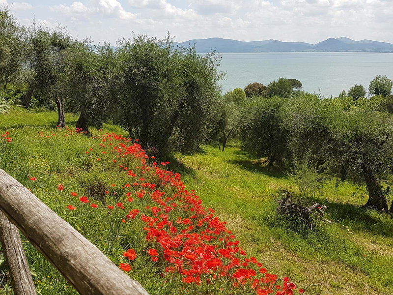 Antica casa di famiglia, Castiglione del Lago, Italy