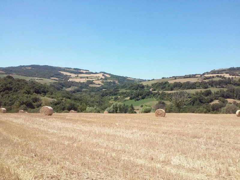 Le Bumbarelle, Tavoleto, Italy