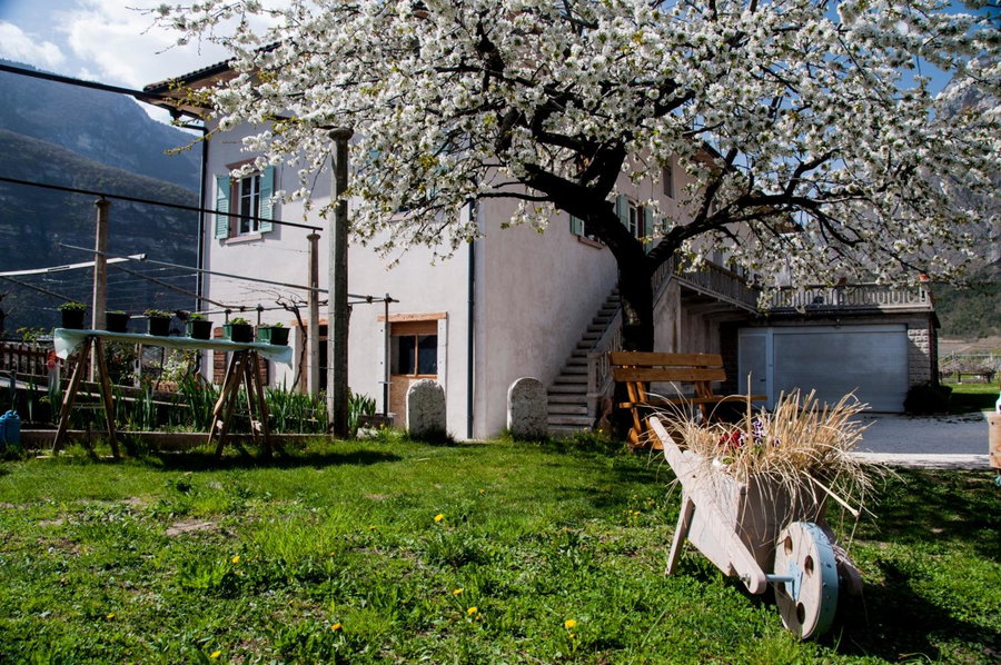 B&B La Fosina, Mezzolombardo, Italy