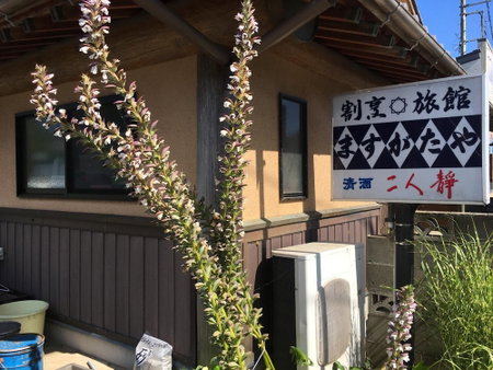 Masugataya Inn, Tako, Japan