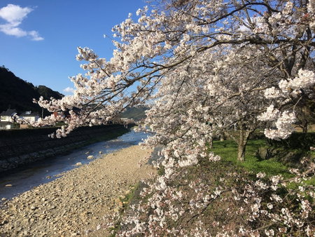 Minsyuku Satoyama, Tsuwano, Japan