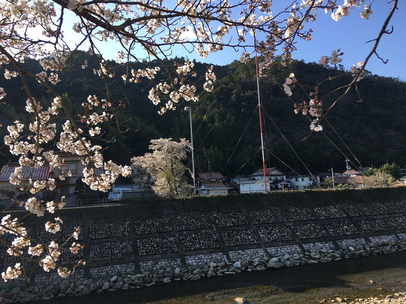 Minsyuku Satoyama, Tsuwano, Japan