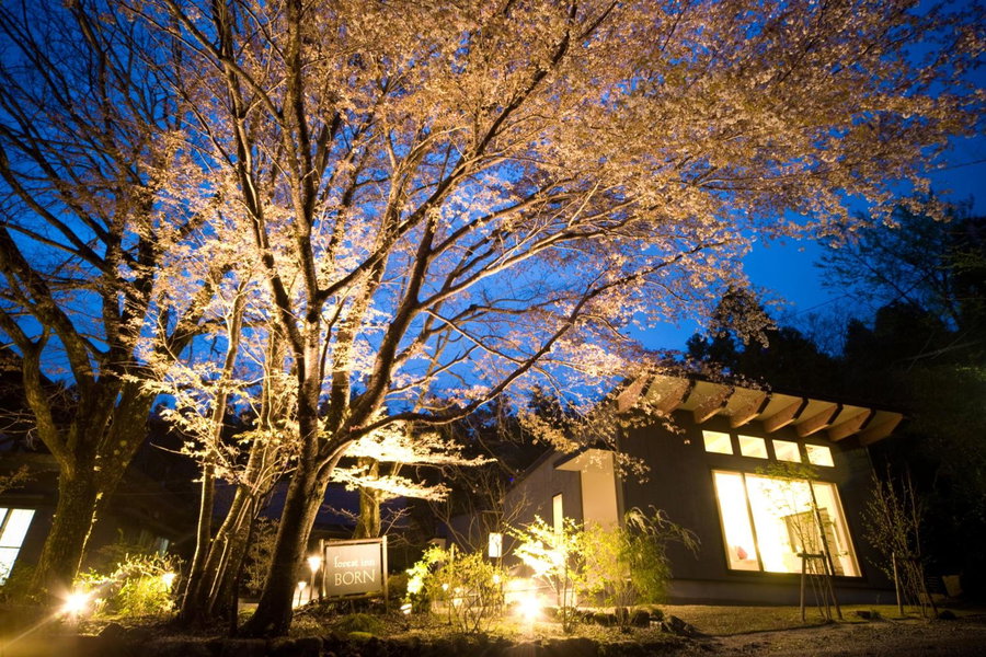 Forest Inn Born, Yufu, Japan