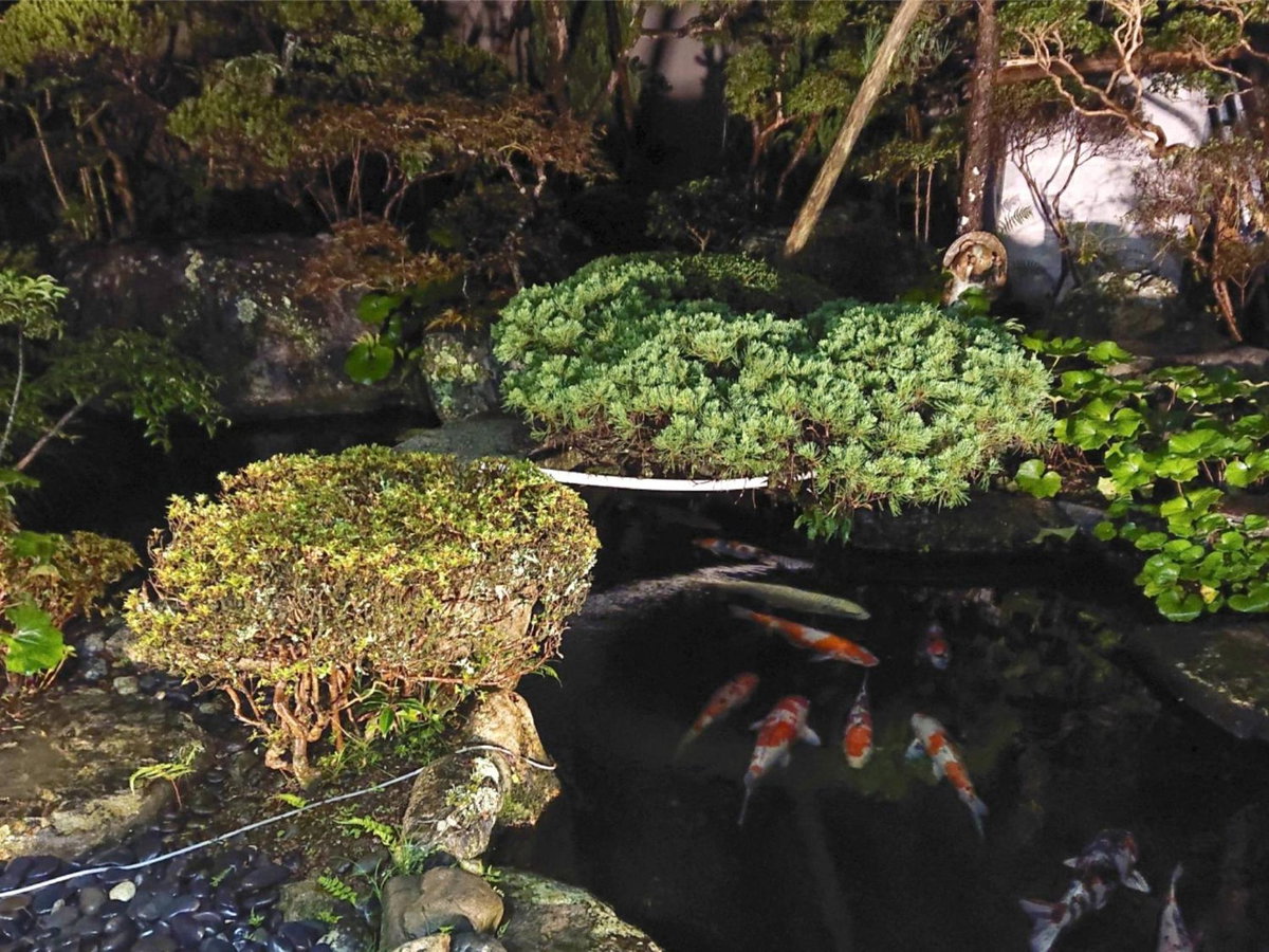 Hotel · Cooking inn Kagetsu - Vacation STAY 88535, Kuratani