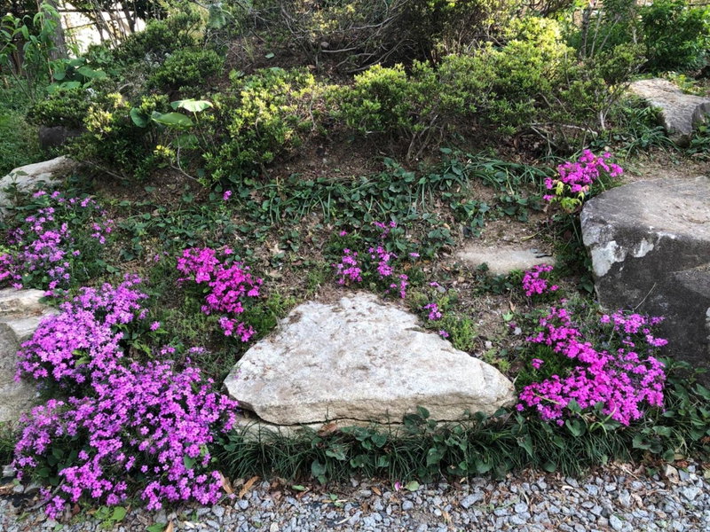 Fukurou no Oyado - Vacation STAY 71438v, Fuefuki, Japan