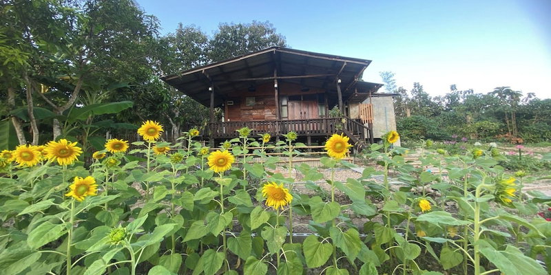 Nokkamin Home Chiang Dao, Chiang Dao, Thailand