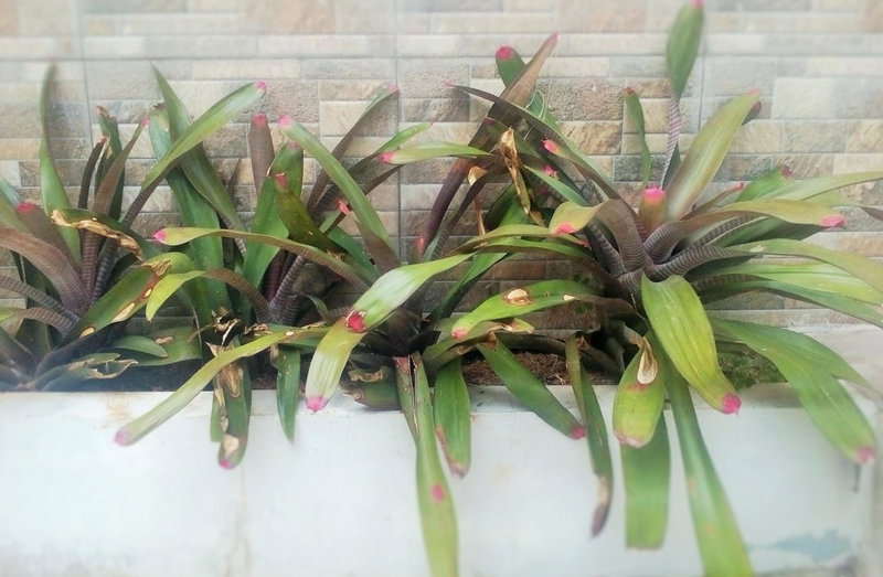 Homestay Bumi Asri III Cikutra, Bandung, Indonesia